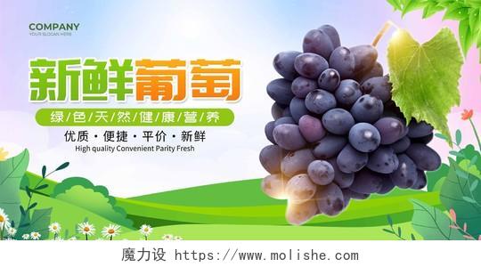绿色水彩新鲜水果葡萄展板
